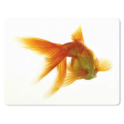 Produktbild von MuchoWow® Mauspad Mousepad Goldfisch - Meerestiere - Weiß 40x30 cm - Mousepads - Maus Mat - Pad - Mausunterlage - Anti Rutsch
