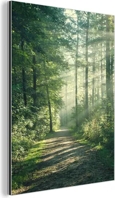 Produktbild von MuchoWow Wanddekoration Metall Metallbild Wandkunst 60x80 cm Wald - Weg - Sonne - Bäume - Grün - Natur MuchoWow Aluminium Gemälde - Wanddekoration Metall