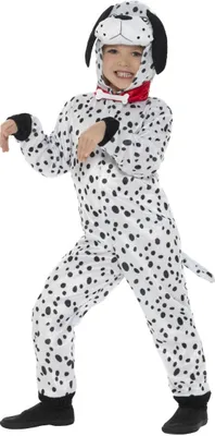 Produktbild von Smiffys - Bodysuit (Kostüm) für Kinder SM427 (146-152) (Weiß)
