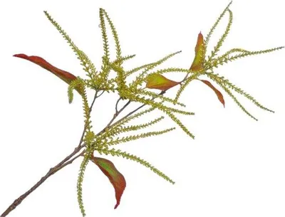 Produktbild von Silk-ka Künstliche Blume, grüner Zweig, glitzernd, Grün, 88 cm