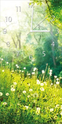 Produktbild von Wallario Design Wanduhr bedruckt, Größe 30 x 60 cm, Motiv: Pusteblumen im Wald mit einfallenden Sonnenstrahlen