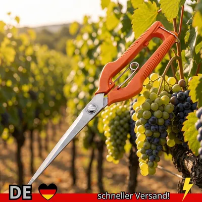 Produktbild von Traubenschere Gartenschere Bonsai Schere Gartenwerkzeug