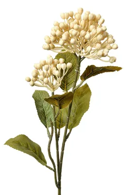 Produktbild von Clayre & Eef Kunstblume 53 cm Beige Kunststoff