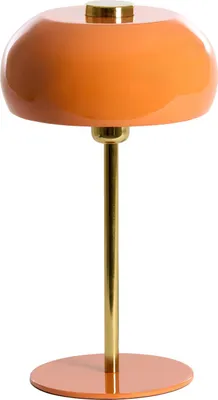 Obrázek produktu pro Light & Living - stolní lampa - Surin - oranžová - kov - stojací lampa - E27 - 1890190