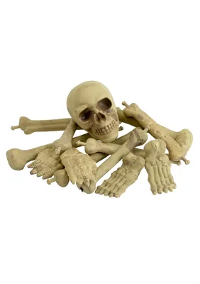 Produktbild von Knochenhaufen und Schädel Halloween Kostüm von Smiffys, Gr. M, Schwarz
