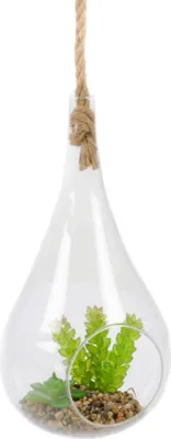Produktbild von Sukkulenten im Glas mit gekordeltem Seil zum Aufhängen, künstliche Sukkulenten im Glastropfen, Kunstpflanzen auf Kiesbett, Höhe ohne Seil 30 cm, mit Seil 80 cm, Variante 1