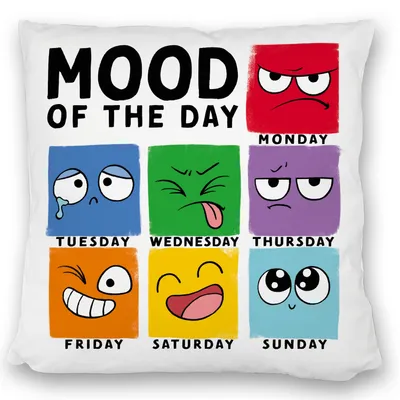 Produktbild von Emotionen Kissen satiniert mit Spruch Mood of the Day