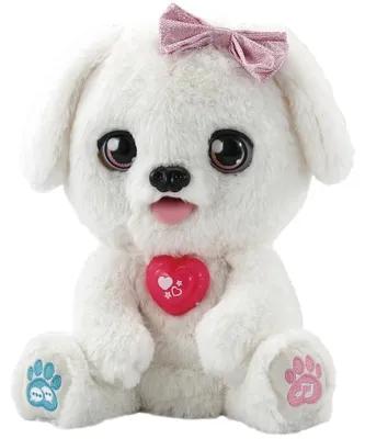 Image de Schlecki, le petit chien câlin