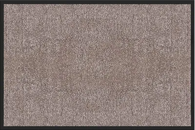 Produktbild von Schmutzfangmatte Rhine waschbare & leistungsstarke Fußmatte Gull 60x90 cm