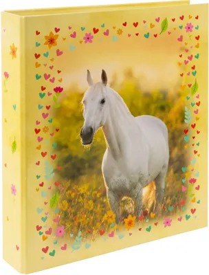 Produktbild von Goldbuch 35 117, A4+, Rundring, Lagerung, Mehrfarbig, Gelb, 5 cm