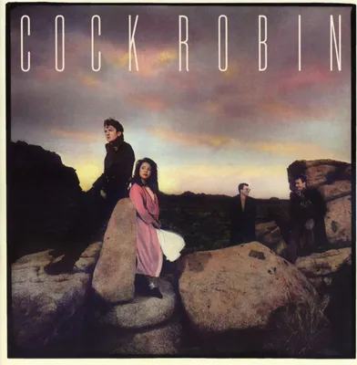 Produktbild von Cock Robin - Cock Robin CD