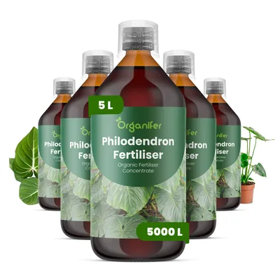 Produktbild von Philodendren Flüssigdünger 5x1L – 2-1-8 NPK – Flüssig-Pflanzendünger für Philodendren – Organifer