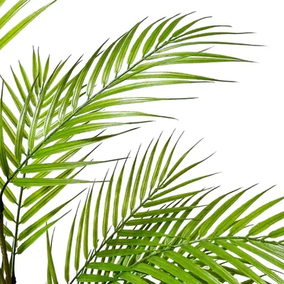Produktbild von Große Kunstpalme - Realistische Kunstpflanze für Innen und Außen - Ideale Dekoration für Schlafzimmer, Büro, Garten und Hochzeit