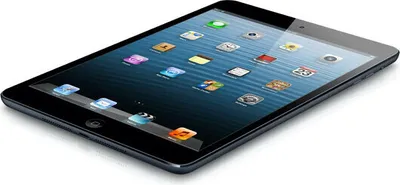 Produktbild von Apple iPad mini 4, 20,1 cm (7.9"), 2048 x 1536 Pixel, 32 GB, iOS, 304 g, Grau