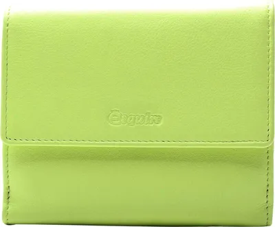 Image de Esquire Cuir porte-monnaie Viktoria Wallet With Flap Lime vert clair