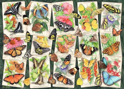 Obrázok produktu pre RAVENSBURGER Puzzle Tropickí motýle 1000 dielikov