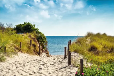Produktbild von Wallario selbstklebendes Poster - Auf dem Sandweg zum Strand, Größe: 61 x 91,50 cm