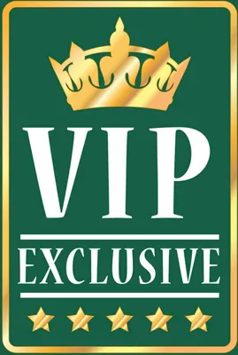 Produktbild von vianmo Holzschild 18x12 cm VIP exclusive grünes Spruch Zitat