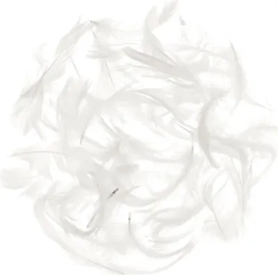 Produktbild von Glorex Marabufedern ca. 10 g weiß