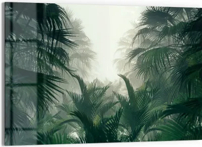 Produktbild von DEQORI Glasbild Echtglas 90x60 cm 'Nebelwaldgeheimnis' Wandbild Bild modern Deko