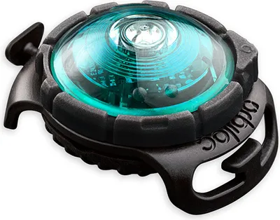 Obrázek produktu pro Orbiloc LED světlo na obojek Turquoise