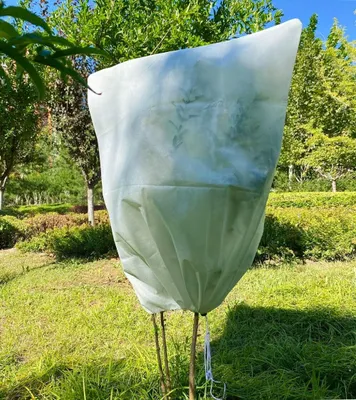 Produktbild von Pflanzen Winterschutz Frostschutz for Kš¹belpflanzen: 100x140cm š¹berwinterungszelt Pflanzenschutz mit Rei?verschluss fš¹r Olivenbaum Palmen Rei?fest Atmungsaktiv Waschbar UV Stabil Beige