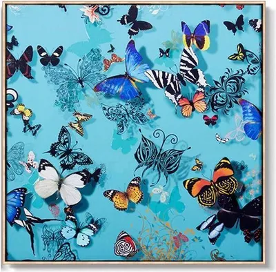 Produktbild von Fine Asianliving Orientalische Malerei Verschiedene Schmetterlinge Blauer Hintergrund B90xT90cm