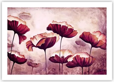 Produktbild von Poster - Poster ohne Rahmen - Mohn Blume Wiese - 70x50 cm - Wand Bild - Wanddeko - Wandbilder - Kunstposter - Wandposter - Bilder - Kunstdruck - Wanddekoration - Wandbild - P2XAA70x50-3934