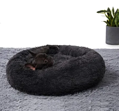 Productafbeelding van Hondenbed 60 cm, wasbaar, voor kleine honden, voor binnen