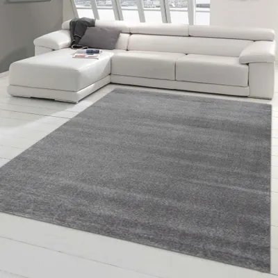 Image de Tapis de salon moderne design uni gris foncé Taille - 60 x 110 cm