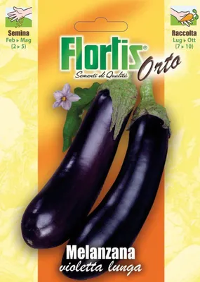 Artikelbild 1 von 'Aubergine Violetta Lunga 3' aus der Kategorie Auberginensamen