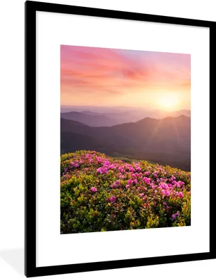 Produktbild von MuchoWow® Gerahmtes Poster Blumen - Berg - Sonnenuntergang - Landschaft 60x80 cm - Poster mit Schwarzem Bilderrahmen Wandposter Rahmen Foto Bilder - Wohnzimmer - Dekorationen - Prämie