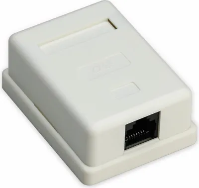 Image de Goobay 77632 Prise RJ45 à 1 port, CAT 6, UTP, blanche - non blindée