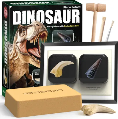 Productafbeelding van Dinosaurusklauw opgraving set, Ankylosaurus ruggengraat, educatief speelgoed, voor kinderen