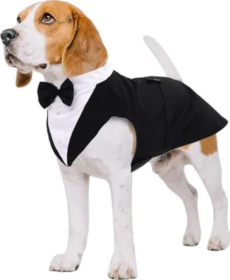 Produktbild von Hund Smoking Anzug Set, Haustier Fomal Kleidung Hunde Mantel mit Abnehmbarer Fliege,Zugseil, Brustgurt, für Hochzeit Halloween Geburtstag Party,M