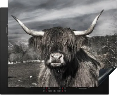 Produktbild von KitchenYeah© Herdabdeckplatte Schottischer Highlander - Tiere - Hörner , 65x52cm, Küche Deko, Glaskeramikkochfeld Herdabdeckung, Abdeckplatte fùr Kochfeld