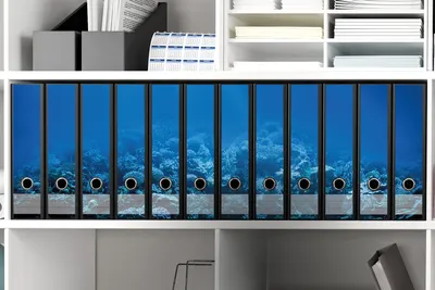 Produktbild von Wallario Ordnerrücken Sticker, selbstklebend für breite Ordner, 12 Stück, Motiv Unterwasserwelt Meer