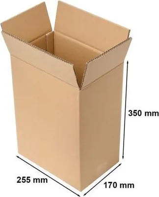 Zdjęcie produktu dla Karton Klapowy Pudełko Kartonowe Kartonik 255x170x350mm BC580 5w