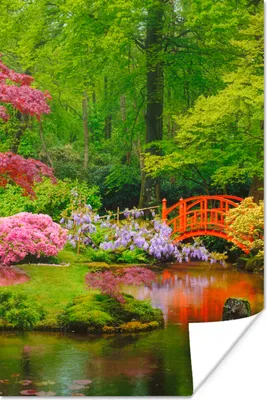 Produktbild von MuchoWow® Poster Brücke - Japanisch - Botanisch - Bäume - Blumen 40x60 cm - Plakate für die Wand - Poster Babyzimmer