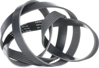 Produktbild von INA Keilrippenriemen 1613mm für VW Golf V Schrägheck (1K1) FB 6PK1613