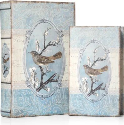 Produktbild von Moritz 2er Set Buchtresor Buchattrappe Deko Vogel auf Ast Vögelchen Buch Safe Box Schatulle Buchhülle Geldversteck