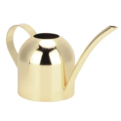 Produktbild von 500-ml-Gießkanne aus Edelstahl mit langer Öffnung, ideal zum Bewässern von Zimmer- und Gartenpflanzen, Gold
