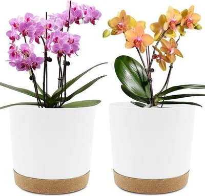 Produktbild von Famanu Blumentöpfe 20,5 cm - 2er Set mit Abflusslöchern und abnehmbarem Boden, weiß