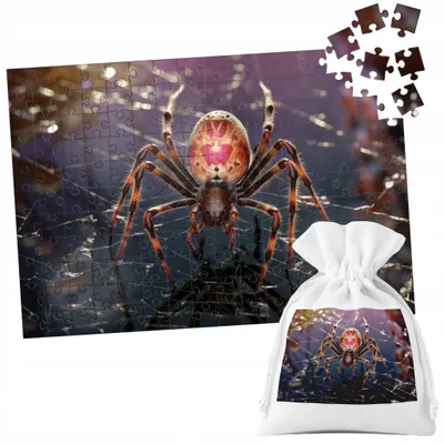 Image de Puzzle Tradycyjne - Zwierzęta Pająk Robak - 252El
