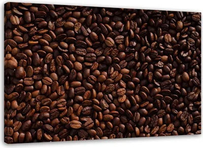 Produktbild von Leinwandbild kaffeebohnen naturpflanzen 60x40 cm Feeby braun wandbild bereit zum aufhängen