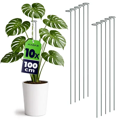 Image de Tuteurs KADAX 100 cm, lot de 10, tuteurs en acier, supports pour plantes en pot, tiges métalliques pour stabiliser les tiges et les fleurs