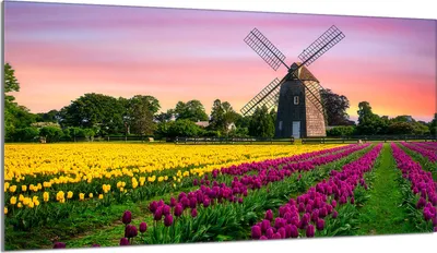 Produktbild von Glasschutzplatte für den Herd 90x52 Łąka