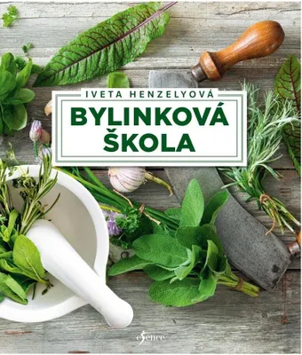 Produktbild von Bylinková škola (Henzelyová Iveta)
