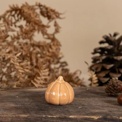 Produktbild von Kürbis Tranebo - terracotta: small