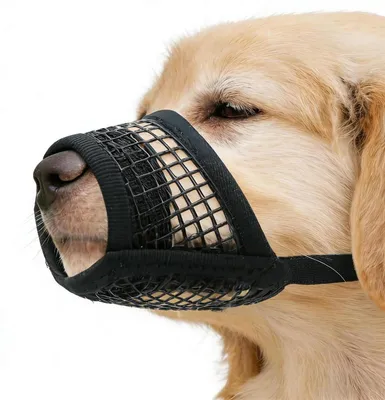 Immagine prodotto di Museruola per cani, traspirante, in rete, regolabile, morbida, taglia L